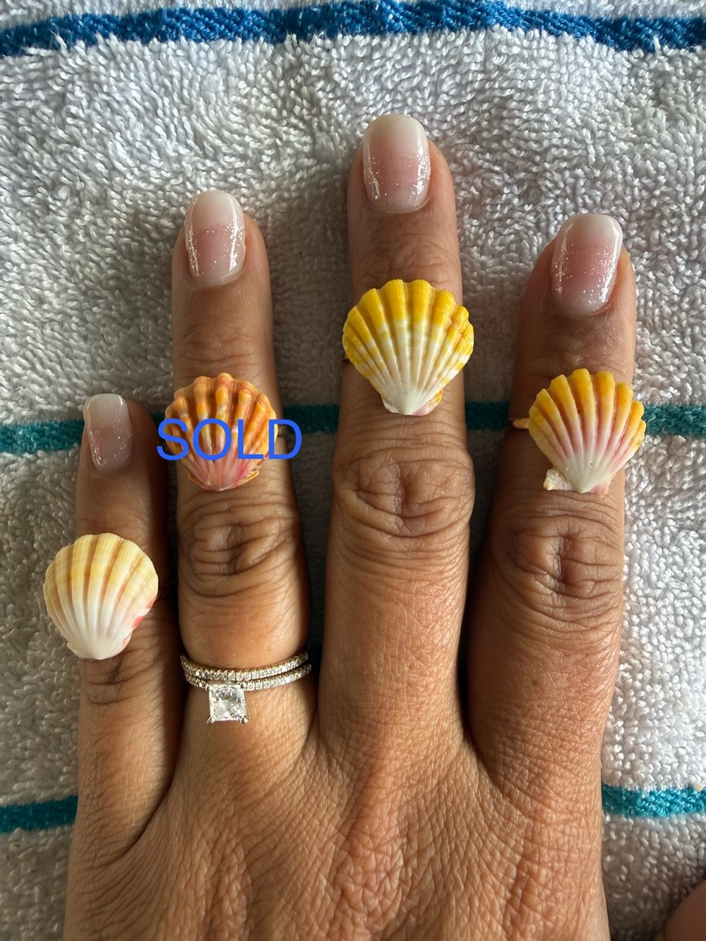 Sunrise Seashell Rings - Shells